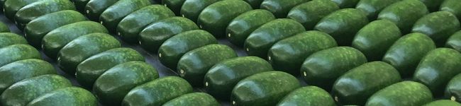 AT Farm's header image