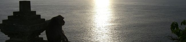 チャオララ's header image