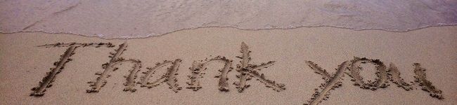 coto_sawa's header image