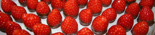 emmaemma's header image