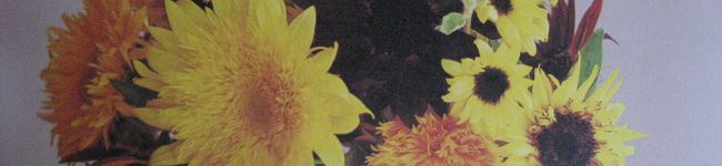 まっちぁん's header image