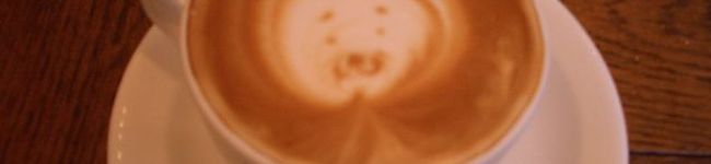 ha22y's header image