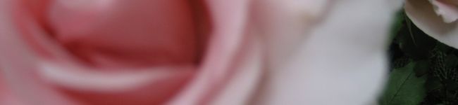 10月13日's header image