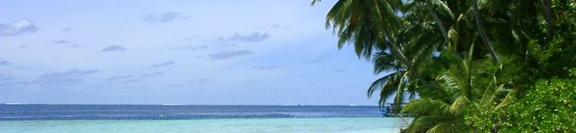 sennes's header image