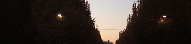 ”KID”'s header image