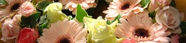リリぽん's header image
