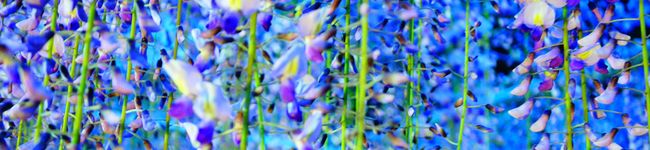 yukko_084's header image