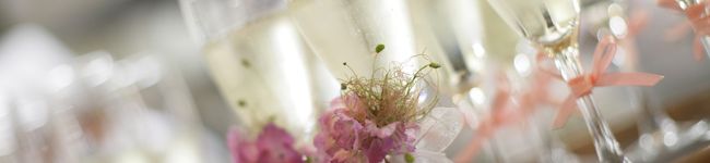 ミッチー☆☆'s header image