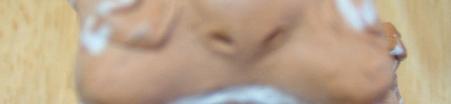 chokochokonaoko's header image