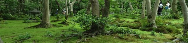 艶子のお気に入り's header image