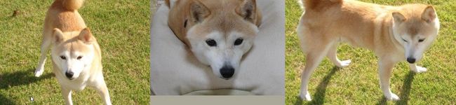 hannaさん's header image