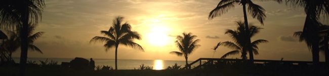 anmitsu325's header image