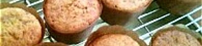 chocoとおれんじ's header image