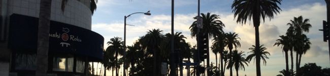 ＊Mikaila＊'s header image
