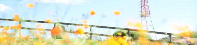 おなな。's header image