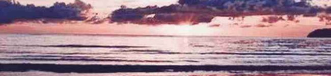 はみぽ's header image