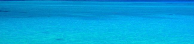 マウスグレイ's header image