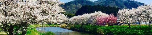 えり0825's header image