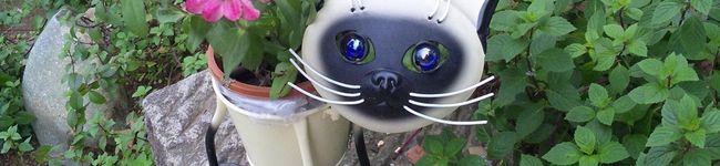 すみねこ。's header image