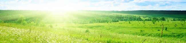 Chinac's header image