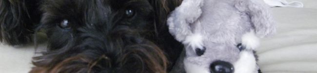 Ｈ♥Ｍ's header image