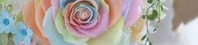 asayu_shi's header image