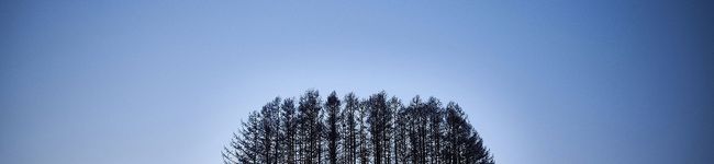ゴーゴーペンギン811's header image