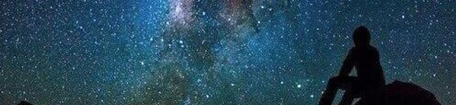 料理探偵's header image