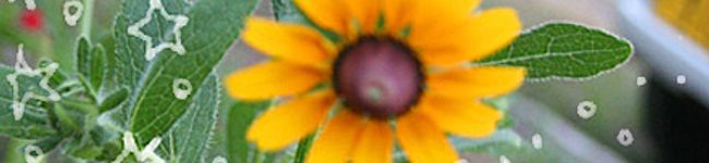 asuka813's header image