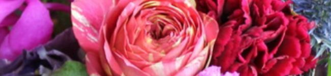 manasera's header image