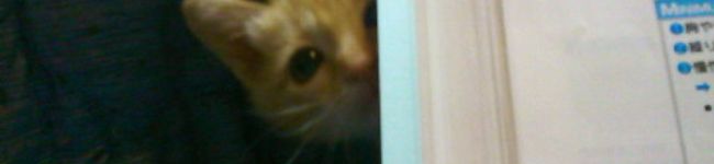 YURI_J's header image