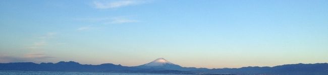 ぴよ専属コック's header image