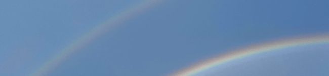 大和２００５'s header image