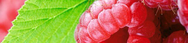 mitsuki518's header image
