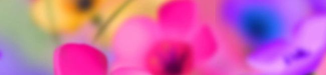 ぐーちゃんと一緒's header image