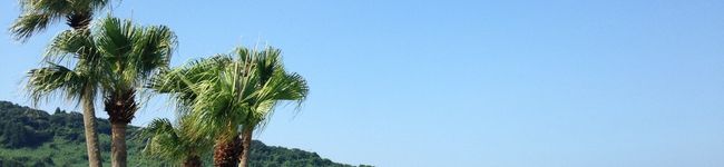 sae901216's header image