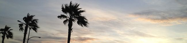 momo:l's header image