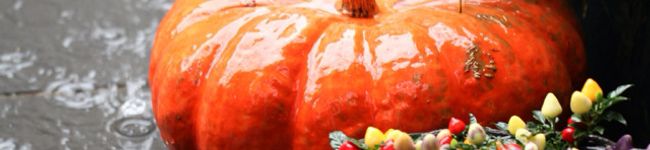 白まめ's header image