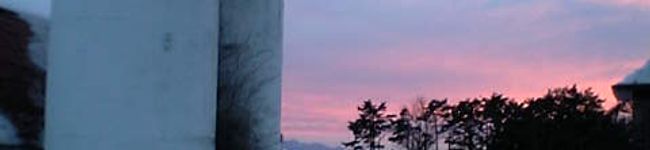 piko1730's header image