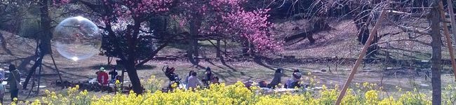 まりすけ。's header image