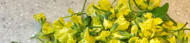 食材探訪人ふくふく's header image