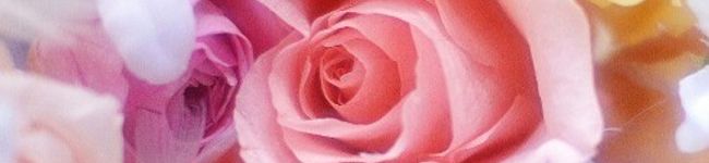 ariyuch's header image