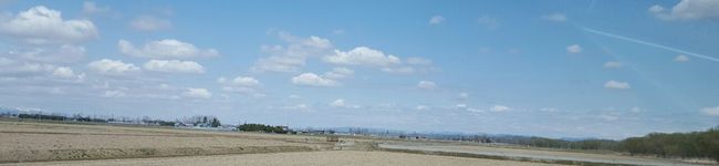 わんこ豆's header image