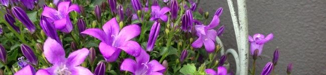 Jun0903's header image