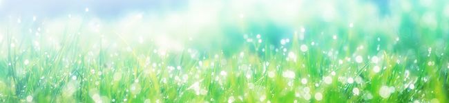 nikopocya's header image