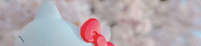 ががこちゃん's header image