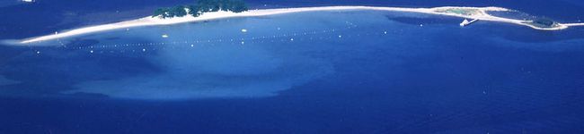 のんせいまー's header image