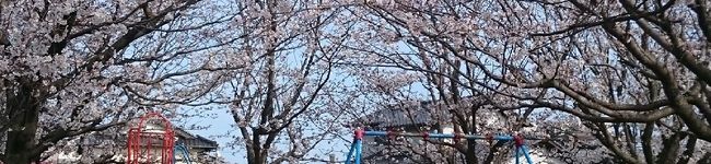 ﾖｰｺｰ's header image