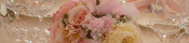 AppleRingo's header image