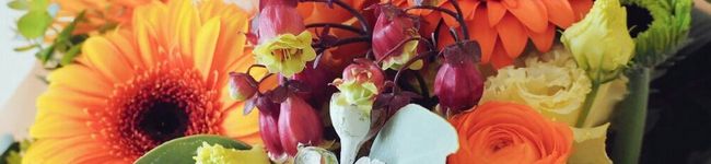 usakko418's header image